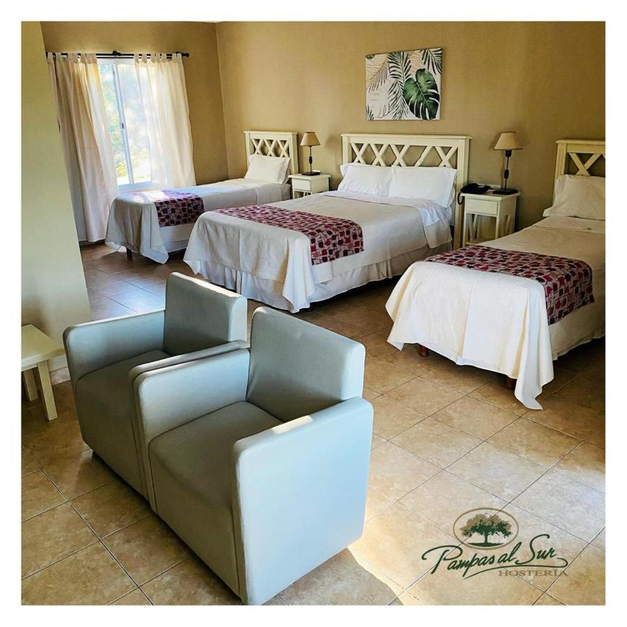 Hotel Pampas Al Sur à Río Colorado Extérieur photo