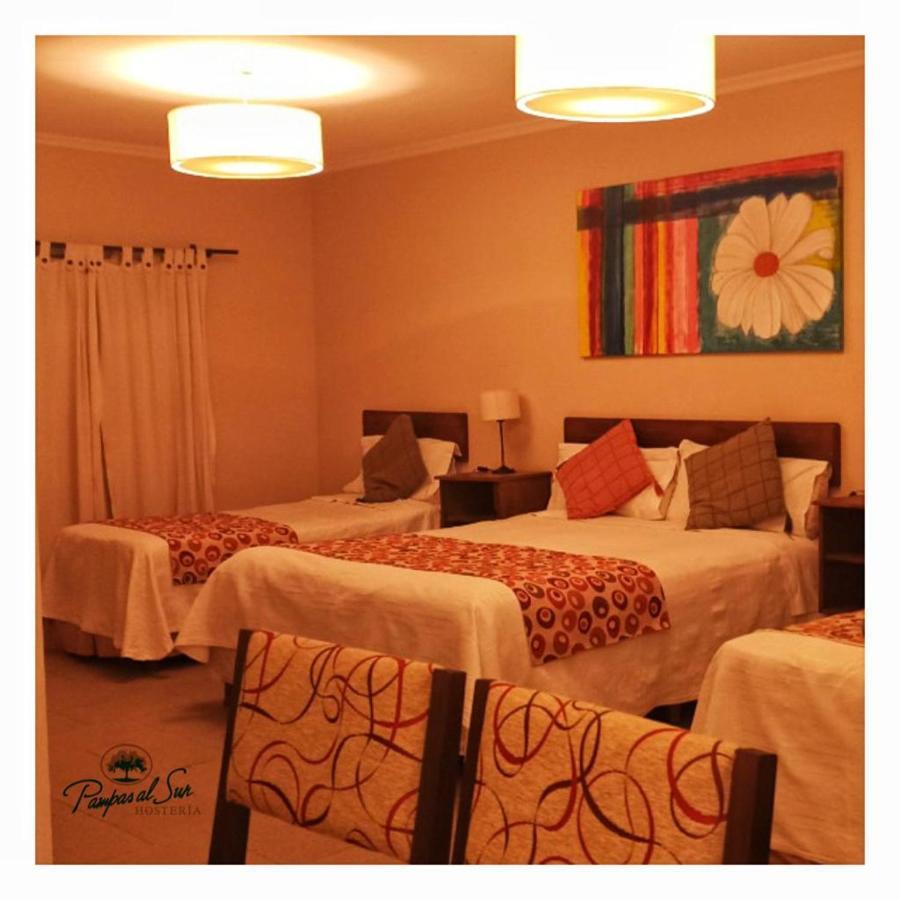 Hotel Pampas Al Sur à Río Colorado Extérieur photo